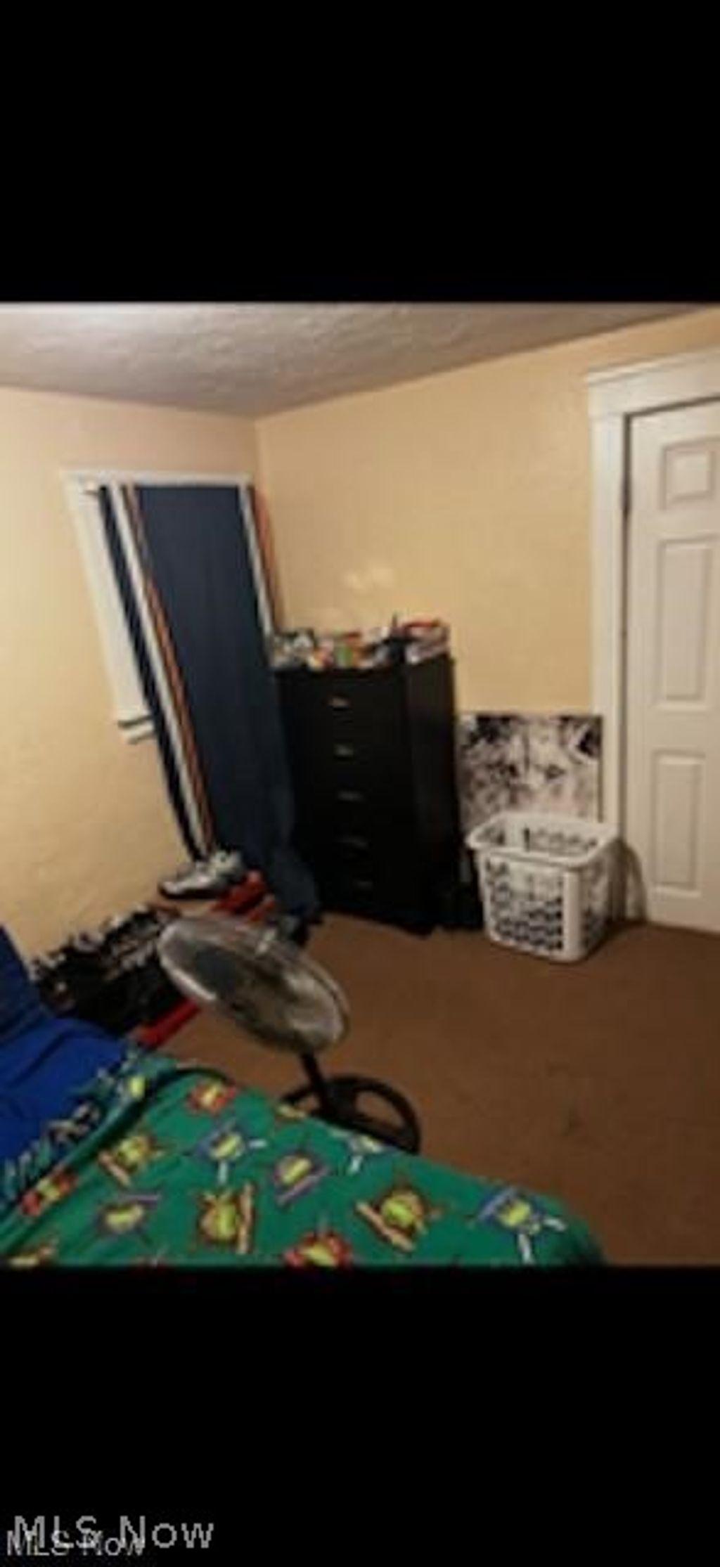 Photo of 3659 E 104th Street, Cleveland, OH 44105 (MLS # 5191034)