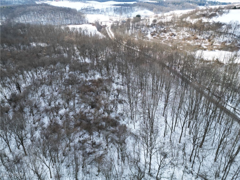 County Road 5, West Lafayette, Ohio image 35