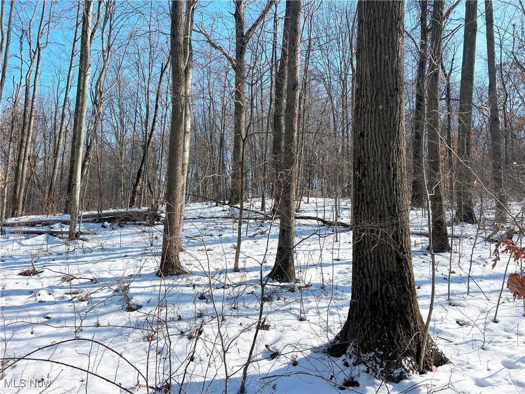 County Road 5, West Lafayette, Ohio image 4