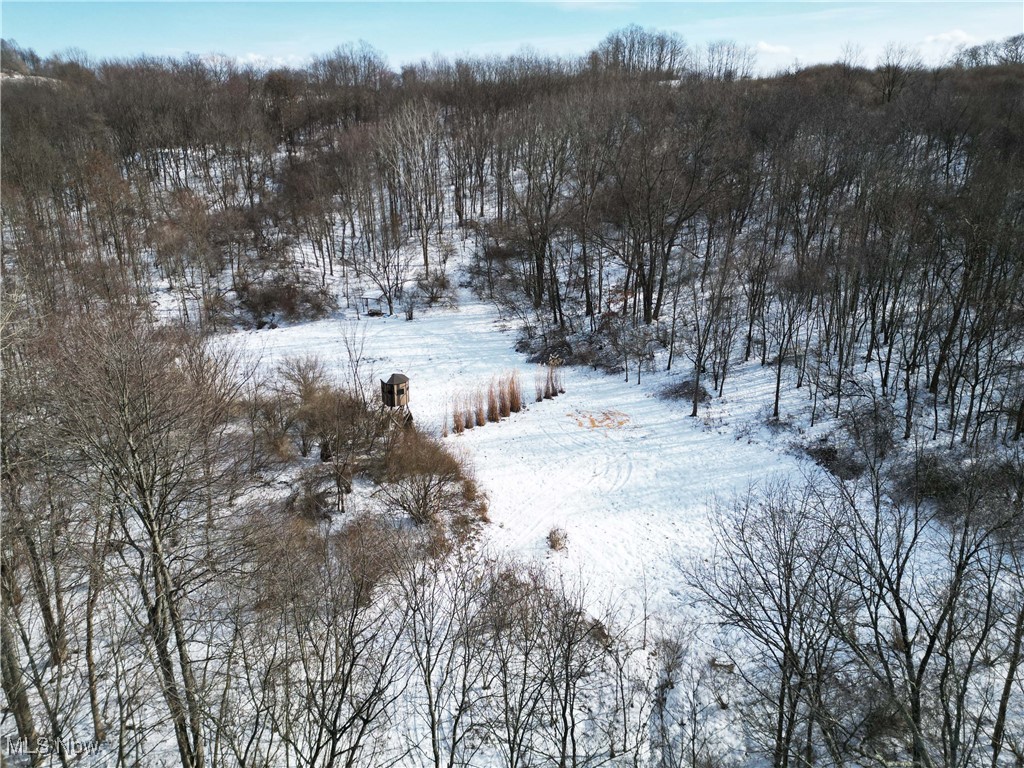 County Road 5, West Lafayette, Ohio image 7