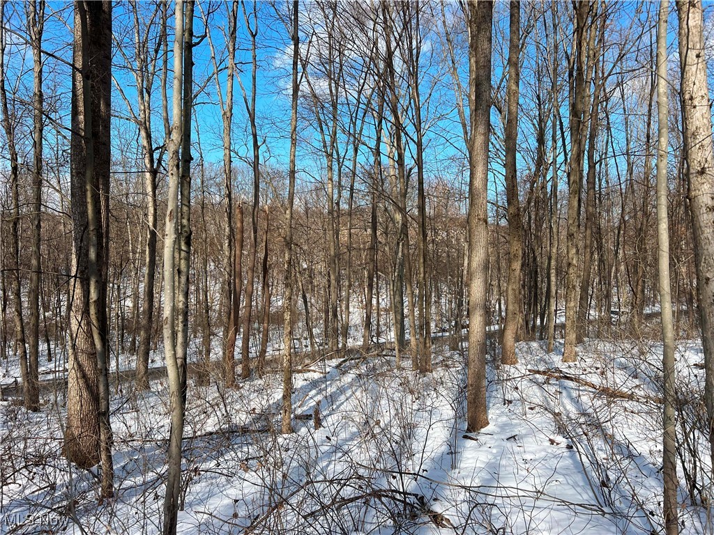 County Road 5, West Lafayette, Ohio image 31