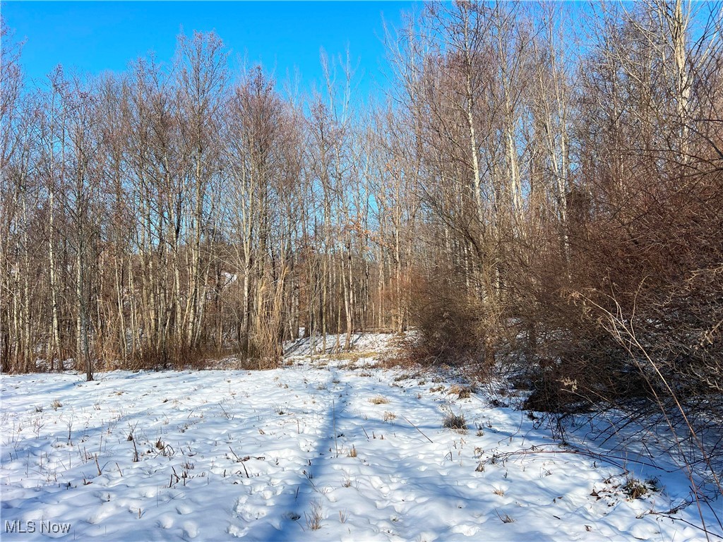 County Road 5, West Lafayette, Ohio image 11