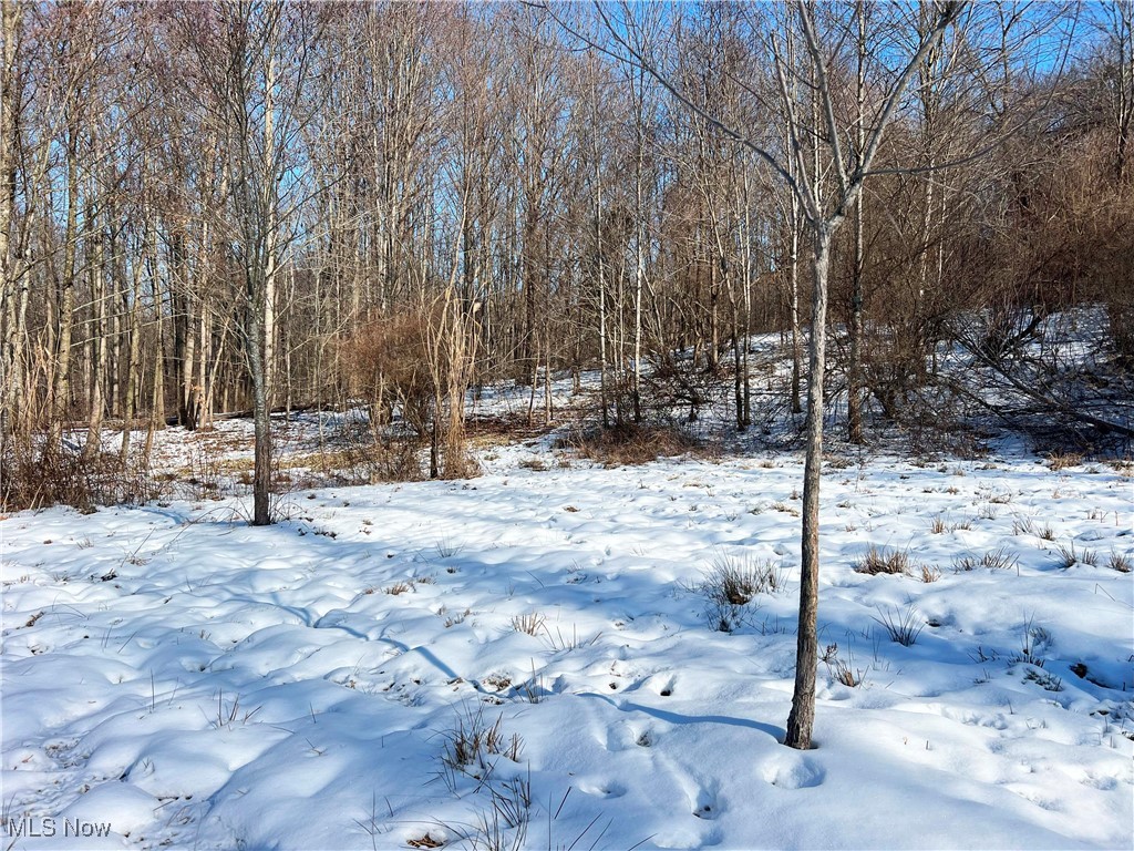 County Road 5, West Lafayette, Ohio image 20