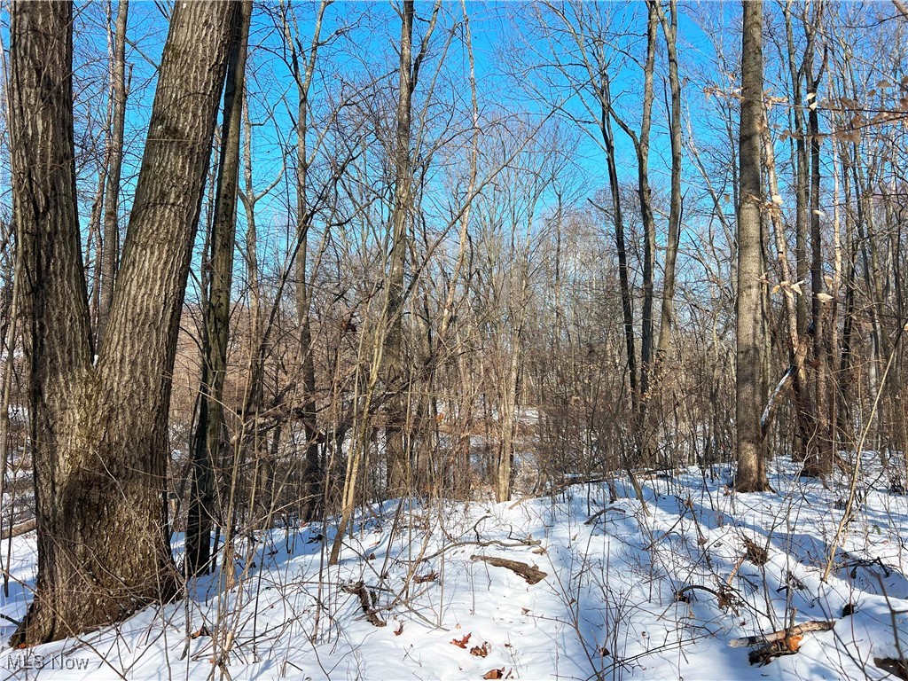 County Road 5, West Lafayette, Ohio image 21