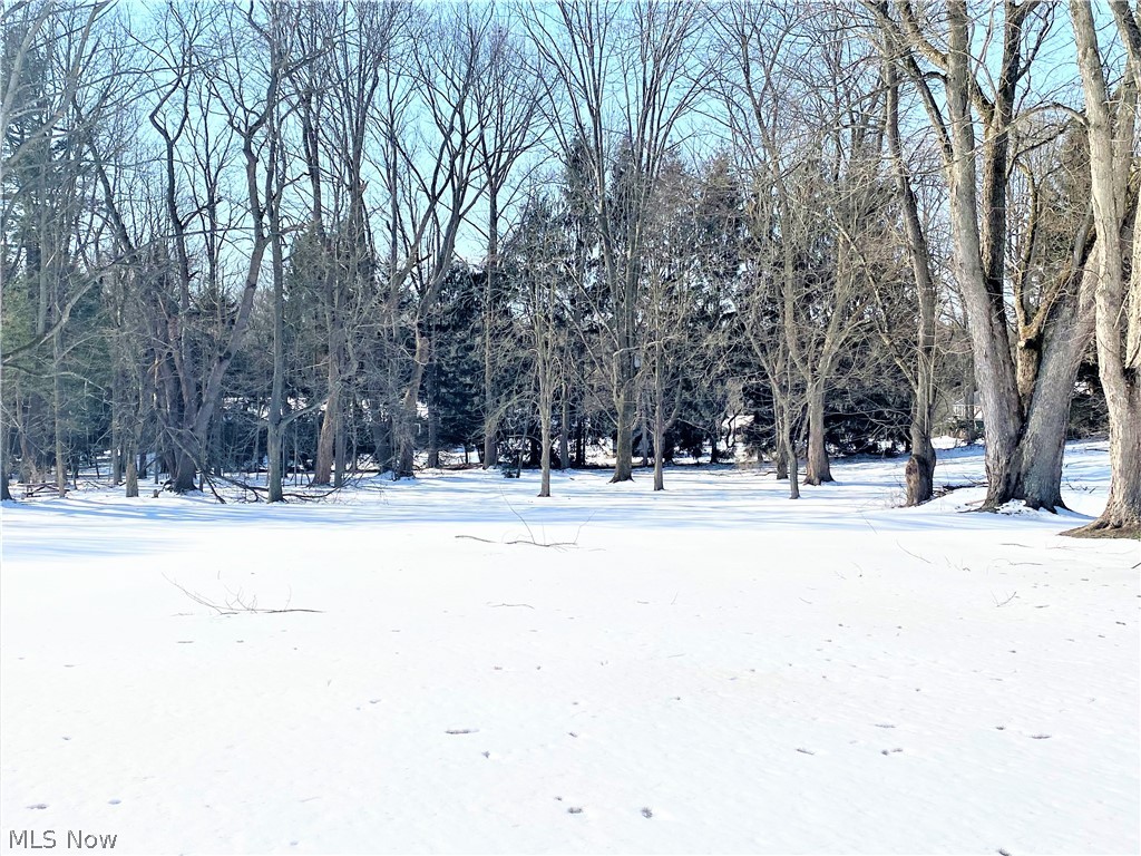 Bass Lake Community - Residential