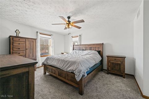 Tiny photo for 496 Still Water Boulevard, Elyria, OH 44035 (MLS # 5177118)