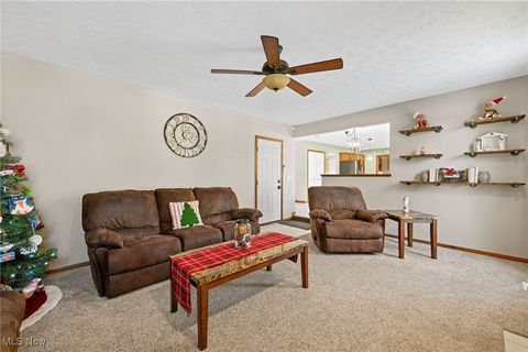 Tiny photo for 496 Still Water Boulevard, Elyria, OH 44035 (MLS # 5177118)