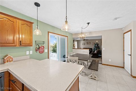 Tiny photo for 496 Still Water Boulevard, Elyria, OH 44035 (MLS # 5177118)