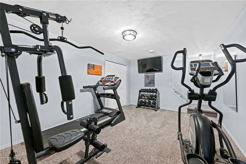 Tiny photo for 496 Still Water Boulevard, Elyria, OH 44035 (MLS # 5177118)