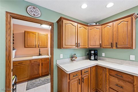 Tiny photo for 496 Still Water Boulevard, Elyria, OH 44035 (MLS # 5177118)