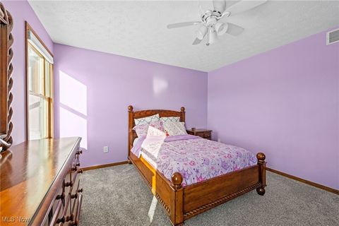 Tiny photo for 496 Still Water Boulevard, Elyria, OH 44035 (MLS # 5177118)