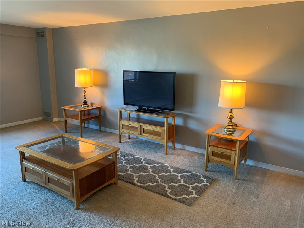 Lake House Condo - Residential