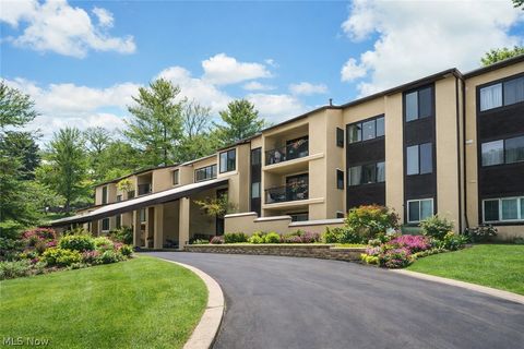 1006 Bunker Drive 203 Fairlawn OH 44333