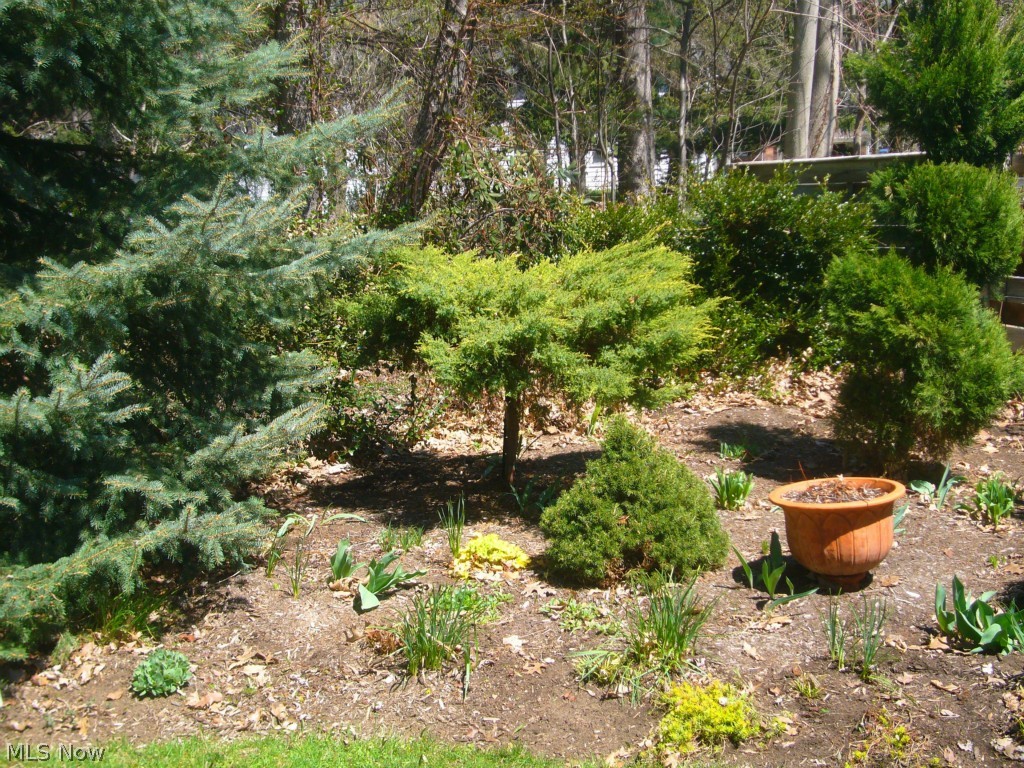 Forest View - Residential