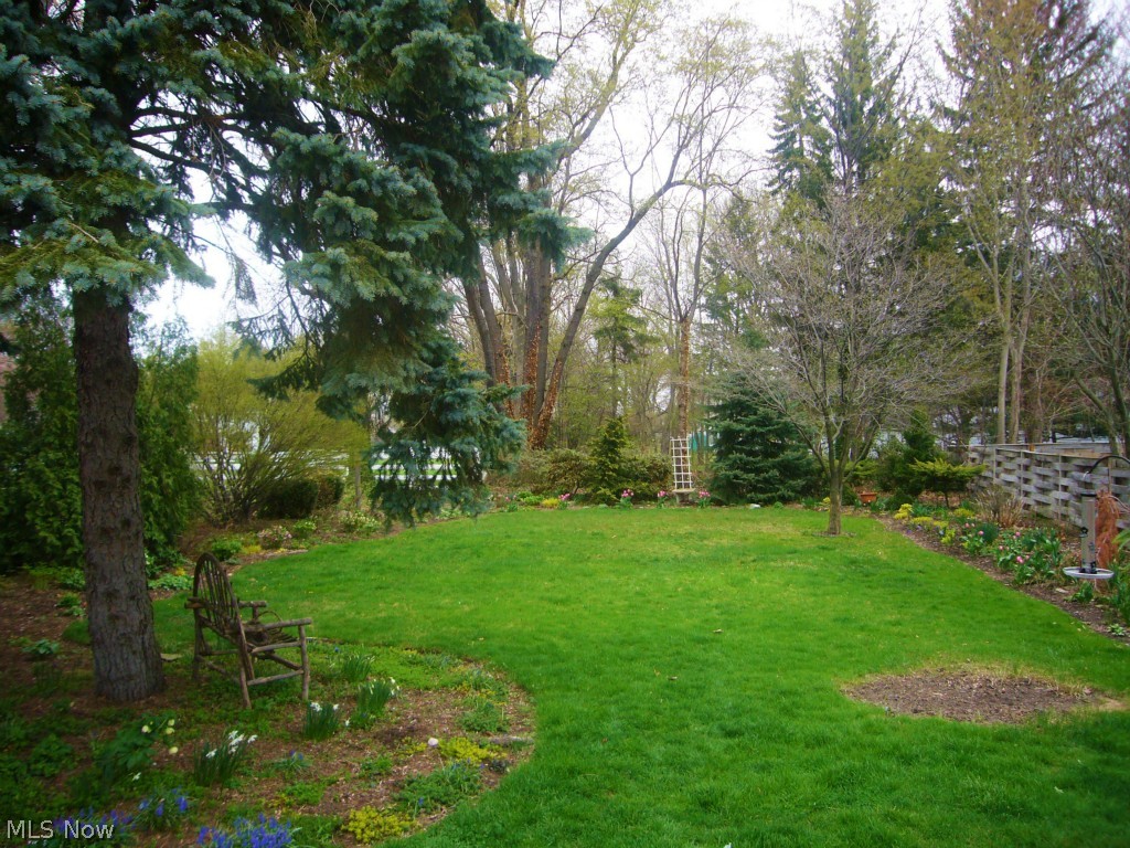 Forest View - Residential