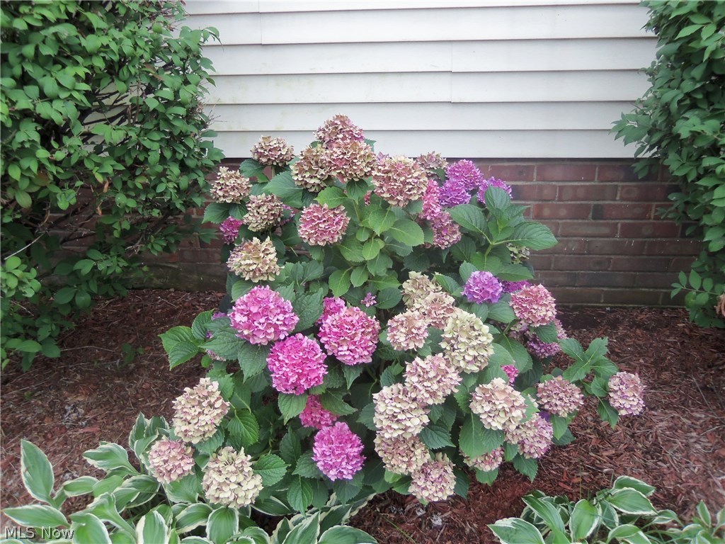 Laura E Sladden - Residential