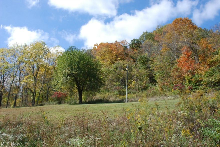 15 acres m/l with acres of trees and creek. Great for hunting. Lots of road frontage on Bald Eagle Rd. and E. Shrivers Road.
All known mineral rights to convey with property.