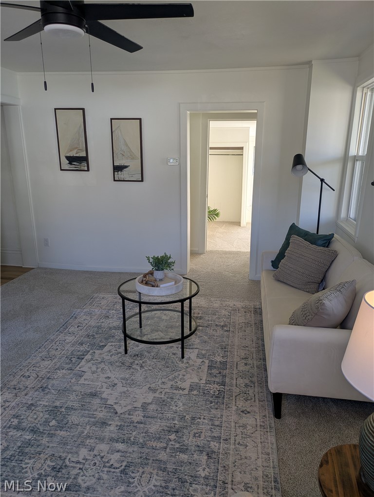 Wooster - Residential