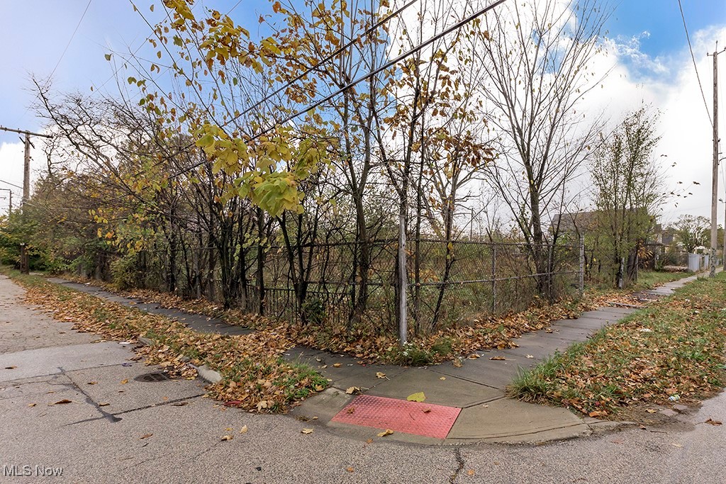 2980 E 81st Street, Cleveland, Ohio image 1