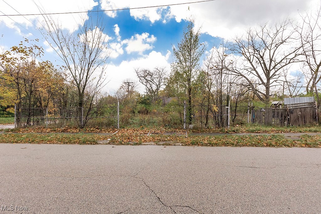 2980 E 81st Street, Cleveland, Ohio image 3