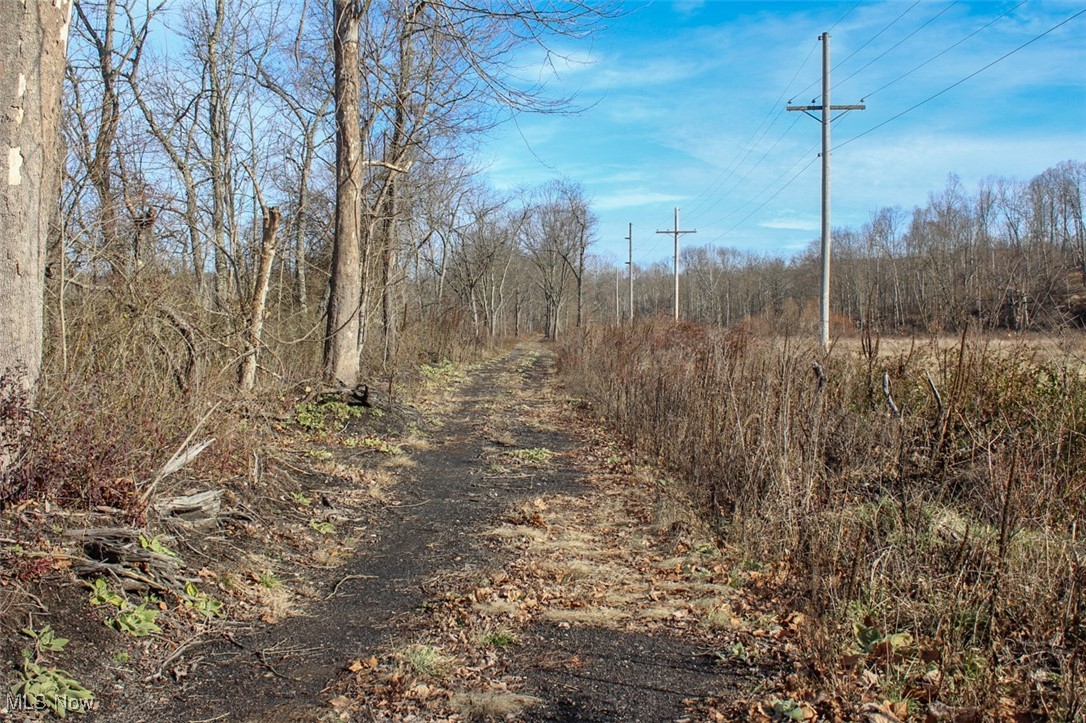 Tract 3 State Route 155, Corning, Ohio image 29