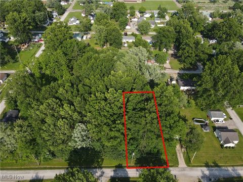 Vacant Land For Sale - Meadowbrook Avenue<br/> Stark County, Alliance, OH 44601