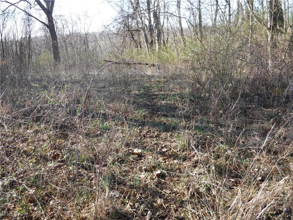 3680 Flint Ridge Road, Hopewell, Ohio image 32