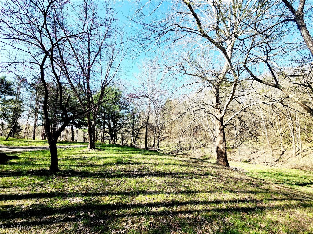 62875 Ridgewood Drive, Cambridge, Ohio image 42