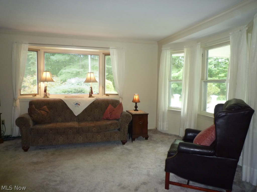 Chesterland 01 - Residential