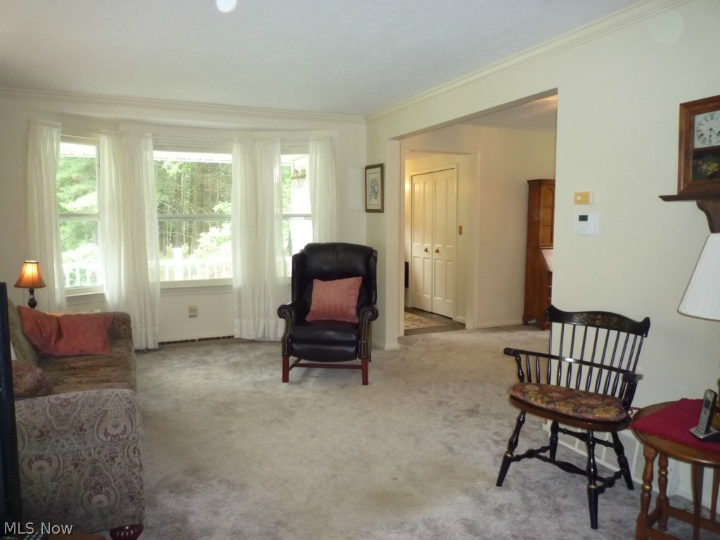 Chesterland 01 - Residential