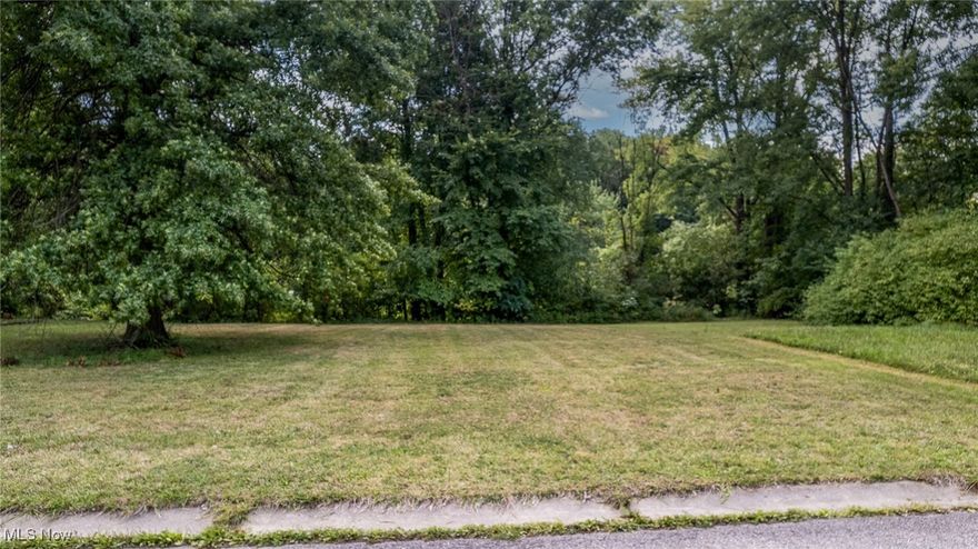 Build Your Dream Home in a Peaceful Niles Neighborhood!
This cleared residential lot offers the perfect blend of tranquility and convenience. Located in a quiet neighborhood, the property backs up to Mosquito Creek — ideal for fishing, kayaking, or canoeing right from your own backyard. Enjoy nature, water views, and a serene setting while still being close to local amenities. Don’t miss this unique opportunity to create your own private retreat in Niles!