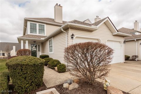 4265 Rolling Hills Drive Brunswick OH 44212