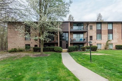 16405 Heather Lane 302 Middleburg Heights OH 44130