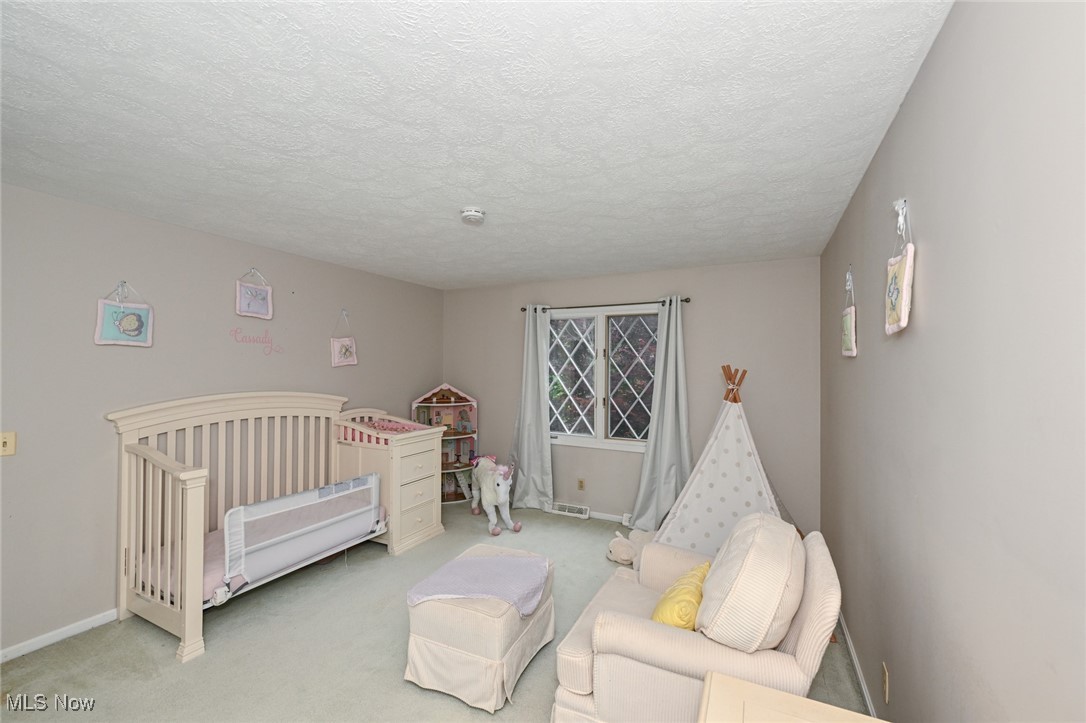 12115 Fowlers Mill Road, Chardon, Ohio image 19