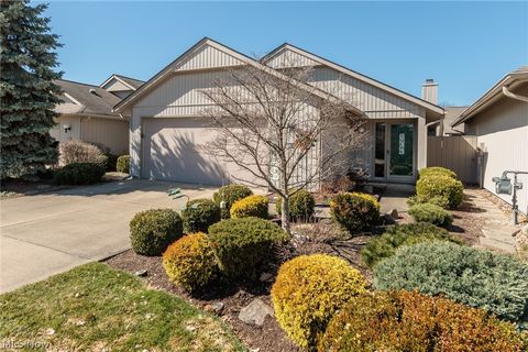 12410 Altis Court Strongsville OH 44149