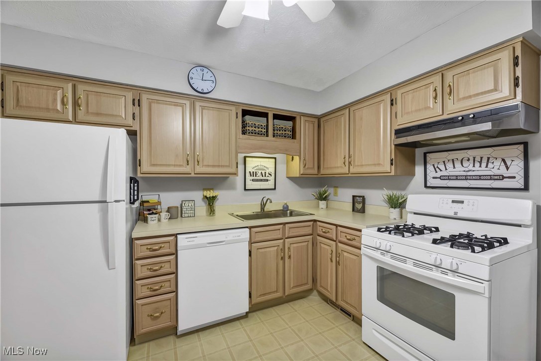 24600 Clareshire Drive