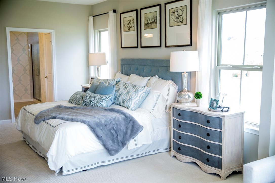 The Villas at Lake Erie Shores - Residential