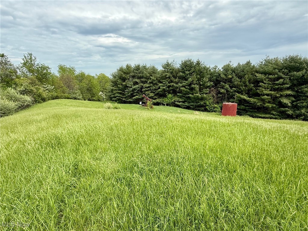 1060 Warren Chapel Rd Rd, Fleming, Ohio image 34