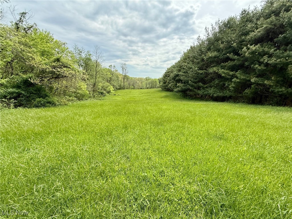 1060 Warren Chapel Rd Rd, Fleming, Ohio image 33