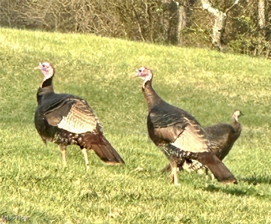 1060 Warren Chapel Rd Rd, Fleming, Ohio image 36