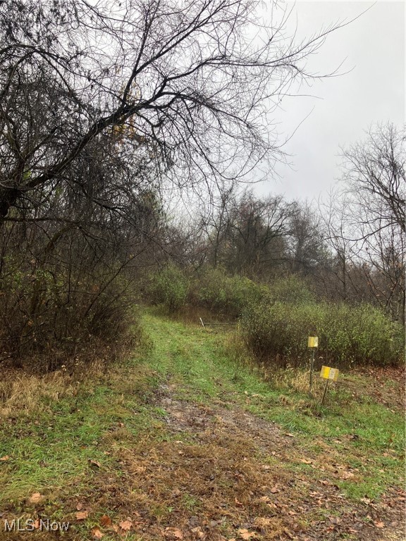 Mummey Road, Mcconnelsville, Ohio image 3