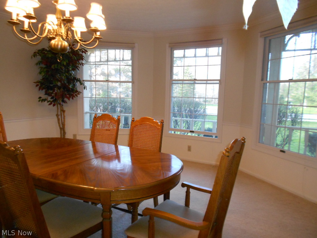 The Woods of the Western Reserve - Residential