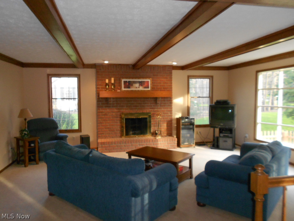 The Woods of the Western Reserve - Residential