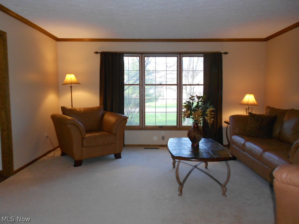 The Woods of the Western Reserve - Residential