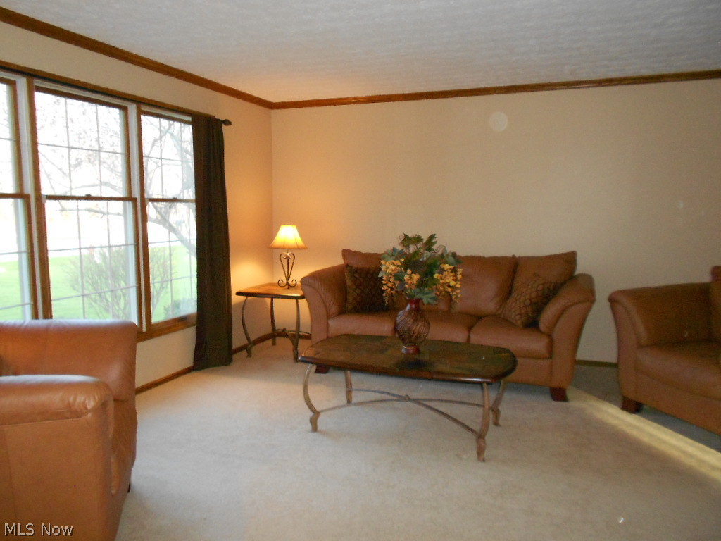 The Woods of the Western Reserve - Residential