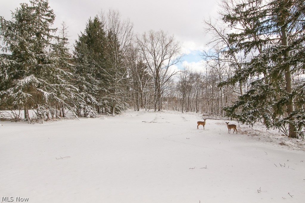 Royalton Sec 21 - Residential