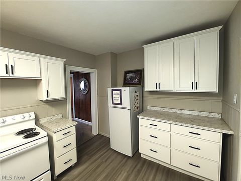 Tiny photo for 1420 Bridge Street, Ashtabula, OH 44004 (MLS # 5221591)