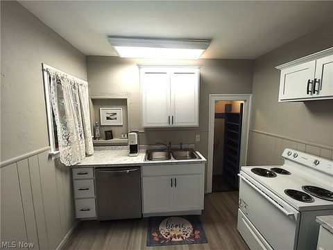 Tiny photo for 1420 Bridge Street, Ashtabula, OH 44004 (MLS # 5221591)