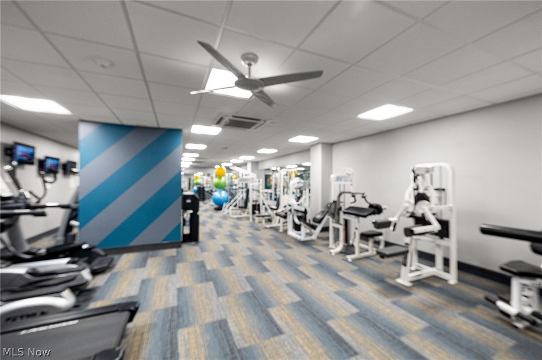 Carlyle Condo - Residential