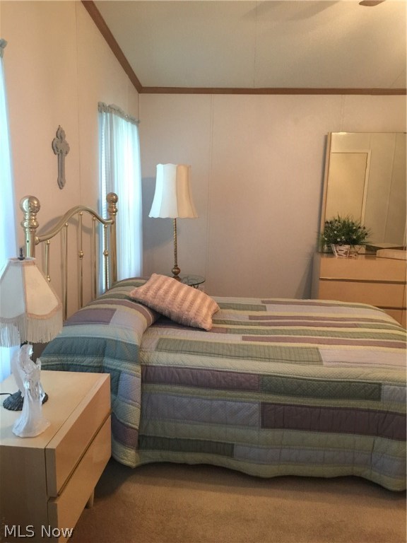 Olmsted Park - Residential